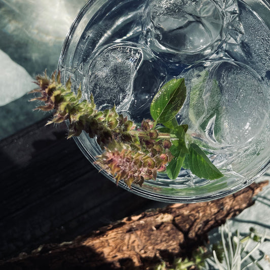 SNOWO Gin Tasting / Fr. 30.05.2025 ab 18 Uhr